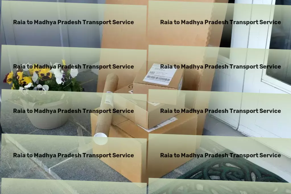 Raia to Madhya Pradesh Courier And Parcel Elevating DIY projects with expert tips and tools! - Nationwide cargo moving